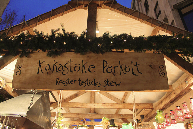 Ruminations on the Hungarian Language: Take Two