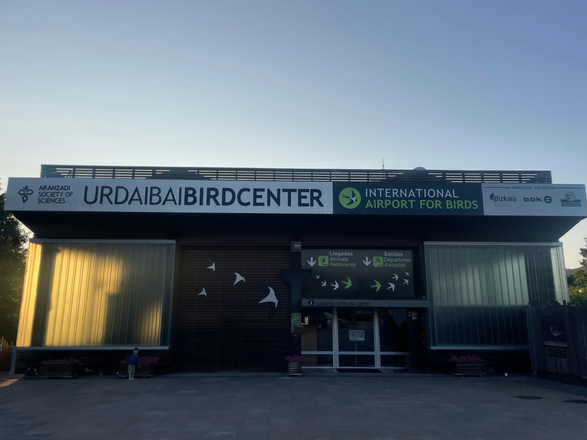 Birds and Bilbao: Basque Country