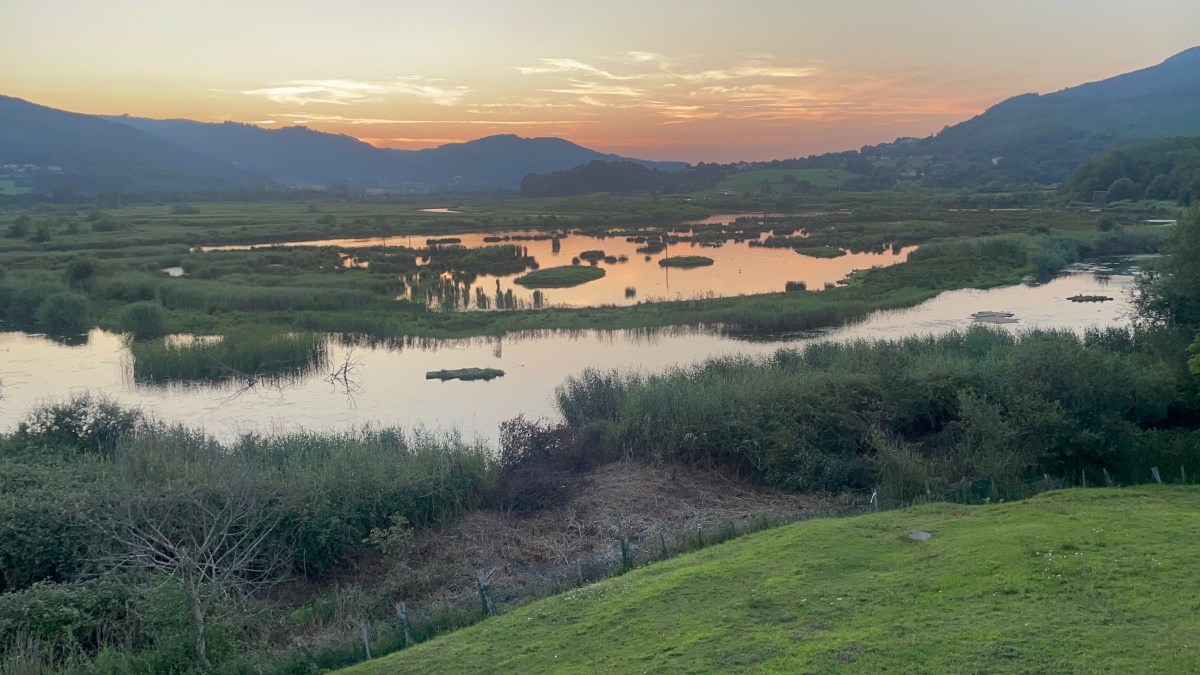 Urdaibai Bird Center